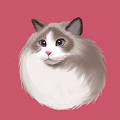 壁纸库v1.0.1安卓版