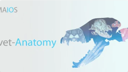 vet-Anatomy