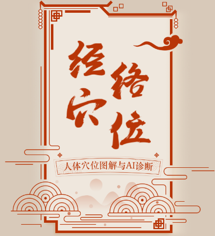 经络图解