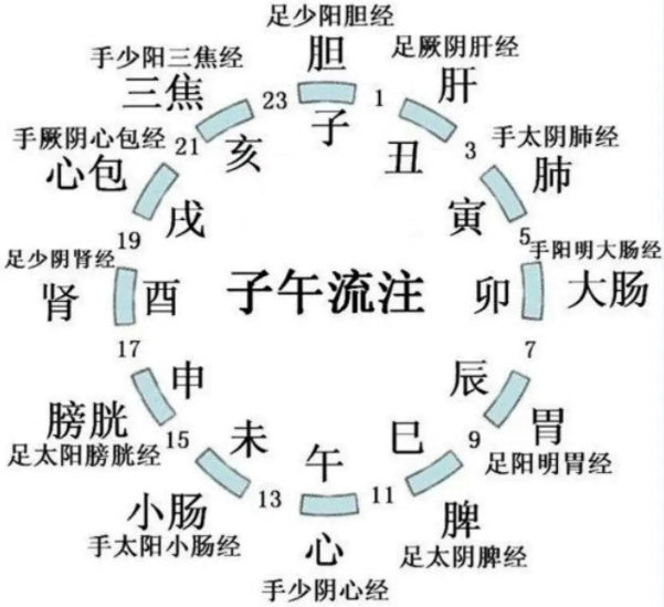 经络图解