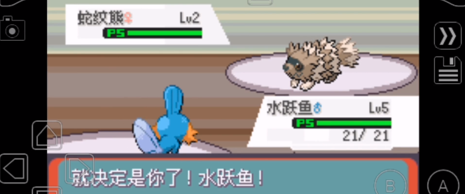 口袋妖怪传说绿宝石1.4.5.8