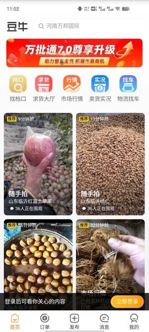 豆牛