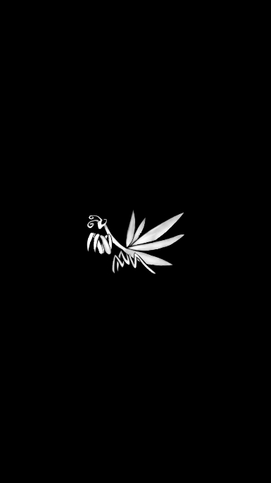 螂的诱惑中文版