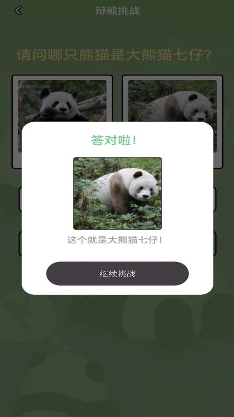 熊猫趣看手机版