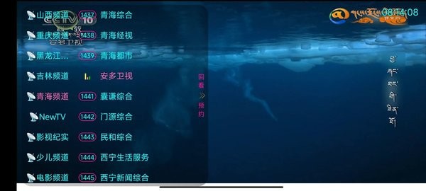 哇咔咔直播软件