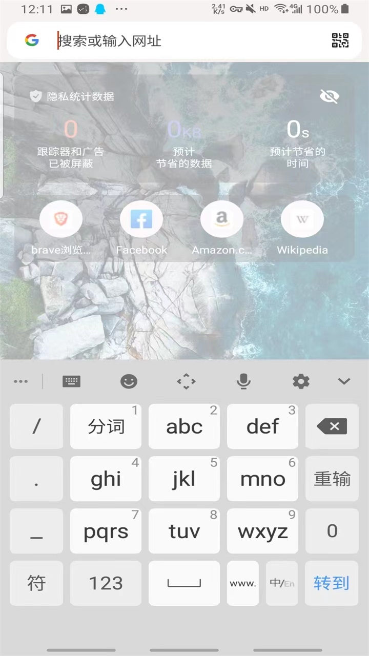 Brave界面截图预览(1)
