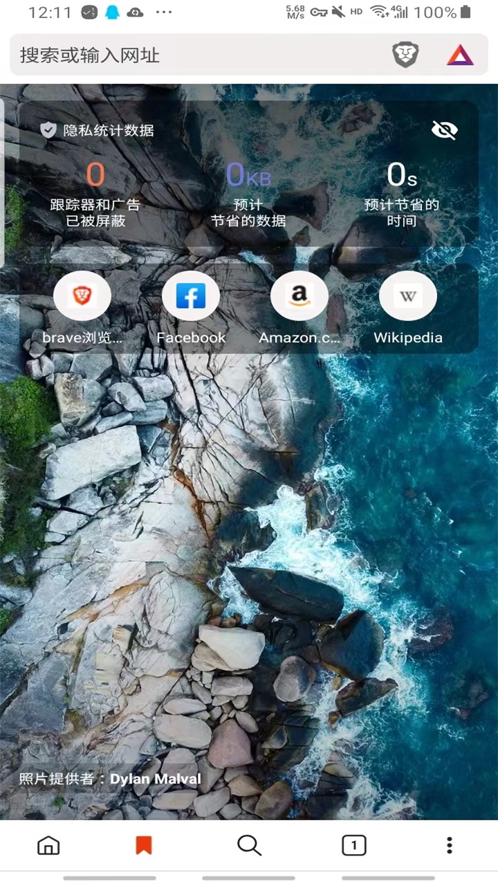 Brave界面截图预览(2)