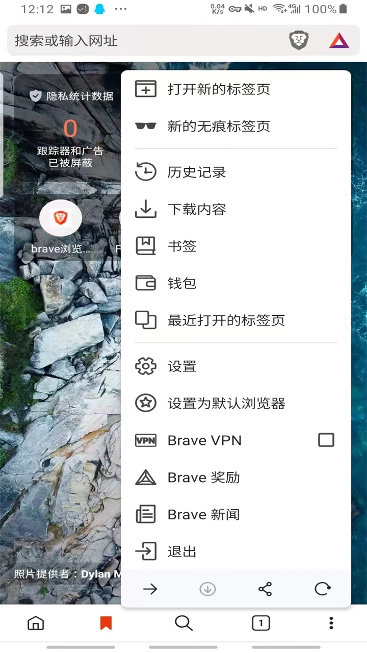 Brave界面截图预览(4)