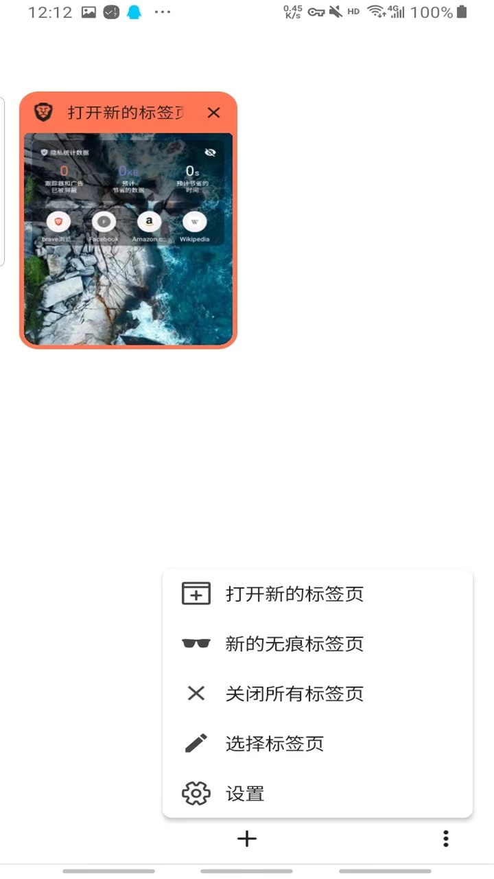 Brave界面截图预览(6)