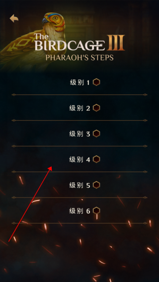 鸟笼3