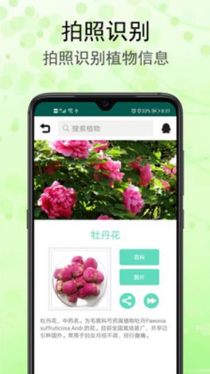 识花草