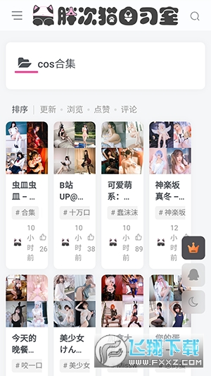胖次猫