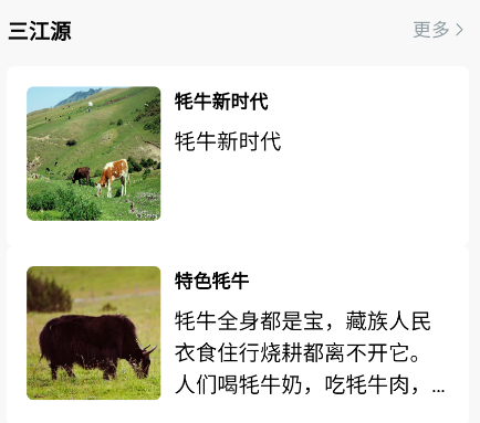 云上牧场.png