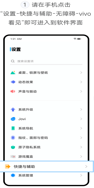 vivo视觉辅助工具