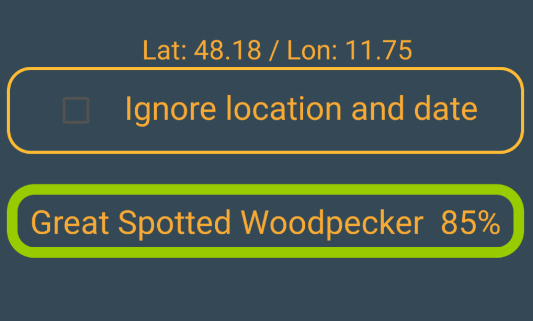 whoBIRD