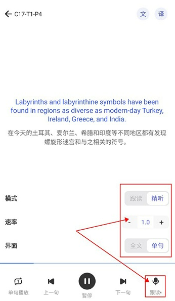 洋葱雅思app安卓版下载