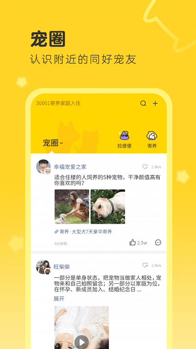 句苗岛软件