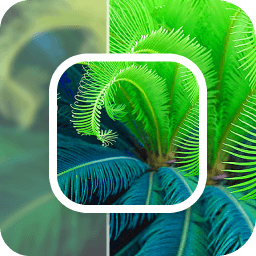 数创模糊照片修复app v23.11.24安卓版