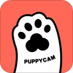 puppycam智能宠物喂食器v1.10.2安卓版