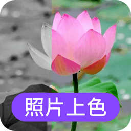 照片上色软件v23.11.27安卓版