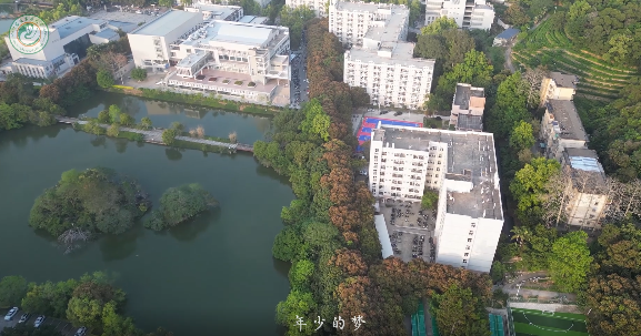 数字FAFU最新版2023下载