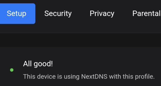 下一个 DNS 管理器