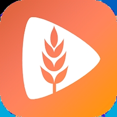 麦芽短剧app 2.10.20安卓版