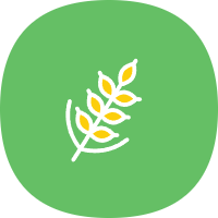 麦子下载app 1.0.7安卓版