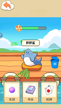 养只小鲨鱼