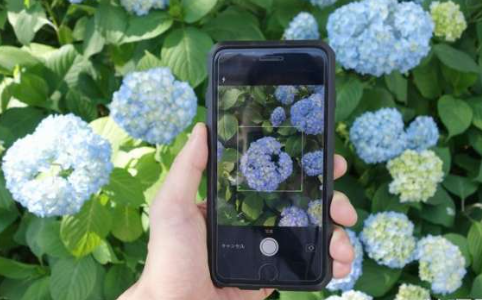 易扫大师app免费下载手机版
