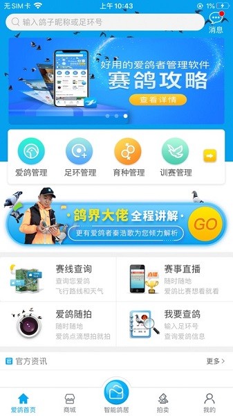 爱鸽者