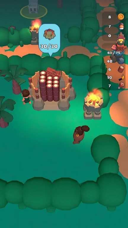 Island Survival