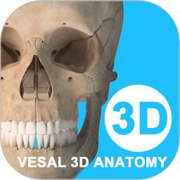 维萨里3d解剖app v6.2.0安卓最新免费版