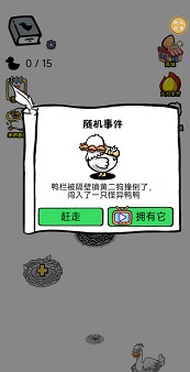 奇怪鸭子下蛋