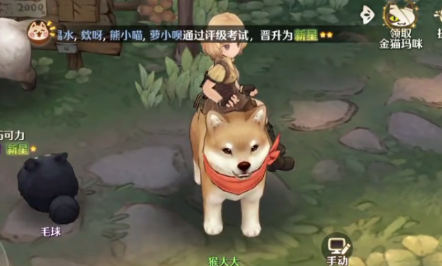 森之国度