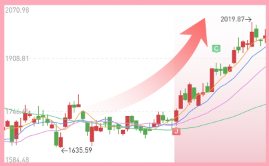 启明星股票app