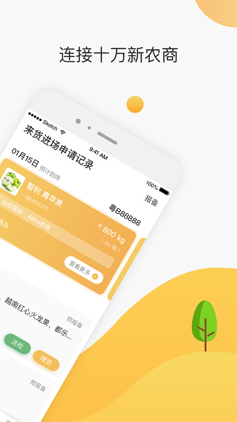 大白菜