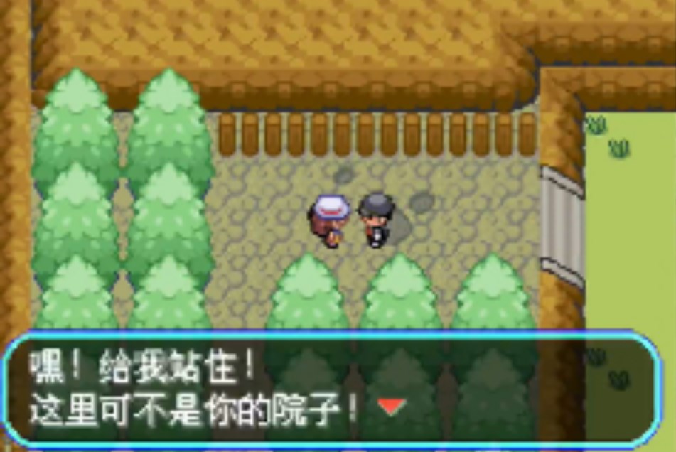 口袋妖怪口袋暴龙界面截图预览(1)