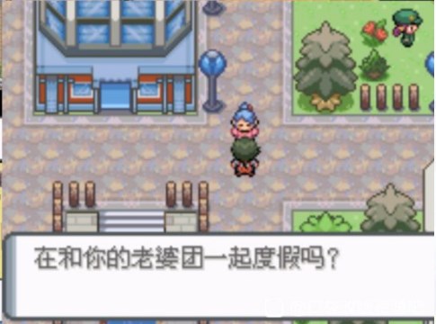 口袋妖怪登峰造极