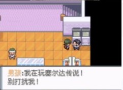 口袋妖怪登峰造极