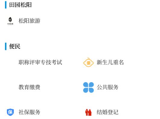 掌上松阳
