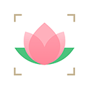 识花app v1.3.1安卓版