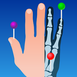 e-anatomy软件最新版v7.1.4安卓版