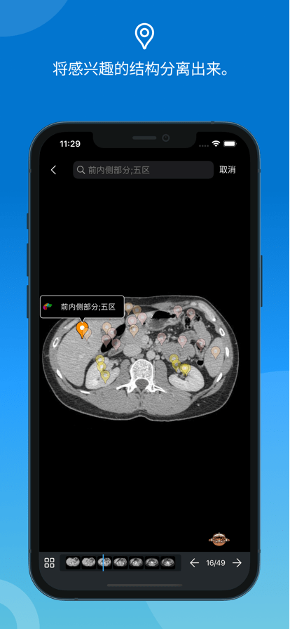 e-anatomy软件