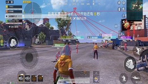 沐岑国体直装(龙猫ESP)