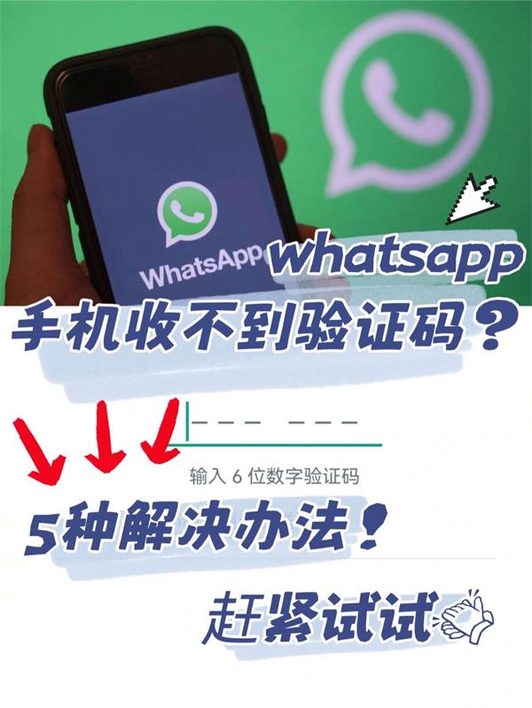 whatsapp聊天软件