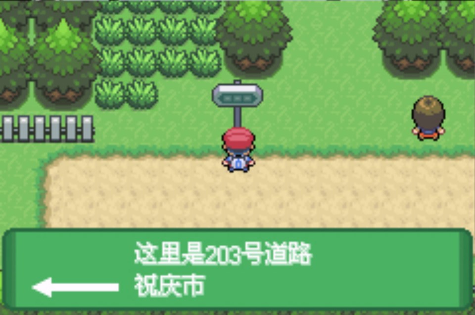口袋妖怪神奥编年史