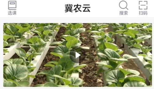冀农云