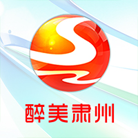 醉美肃州安卓版v3.3.4最新版