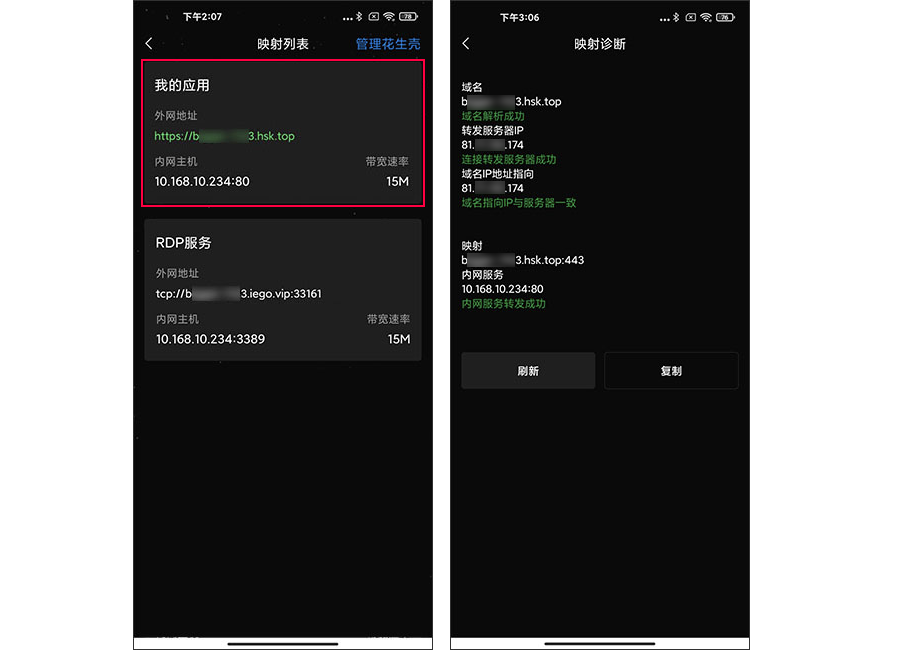 花生壳内网版app(贝锐花生壳)